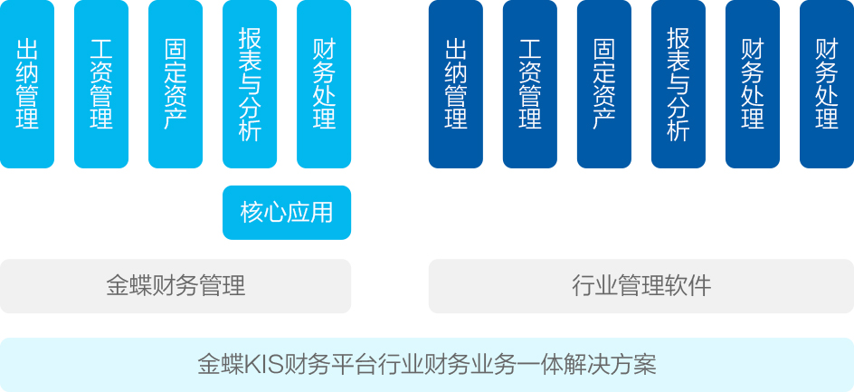金蝶KIS账务平台