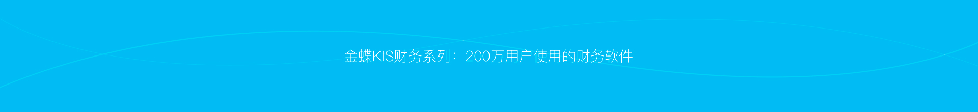 金蝶KIS财务系列
